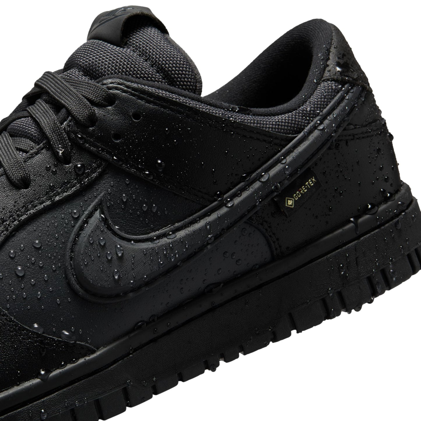 Nike Dunk Low GORE-TEX HQ2053-001