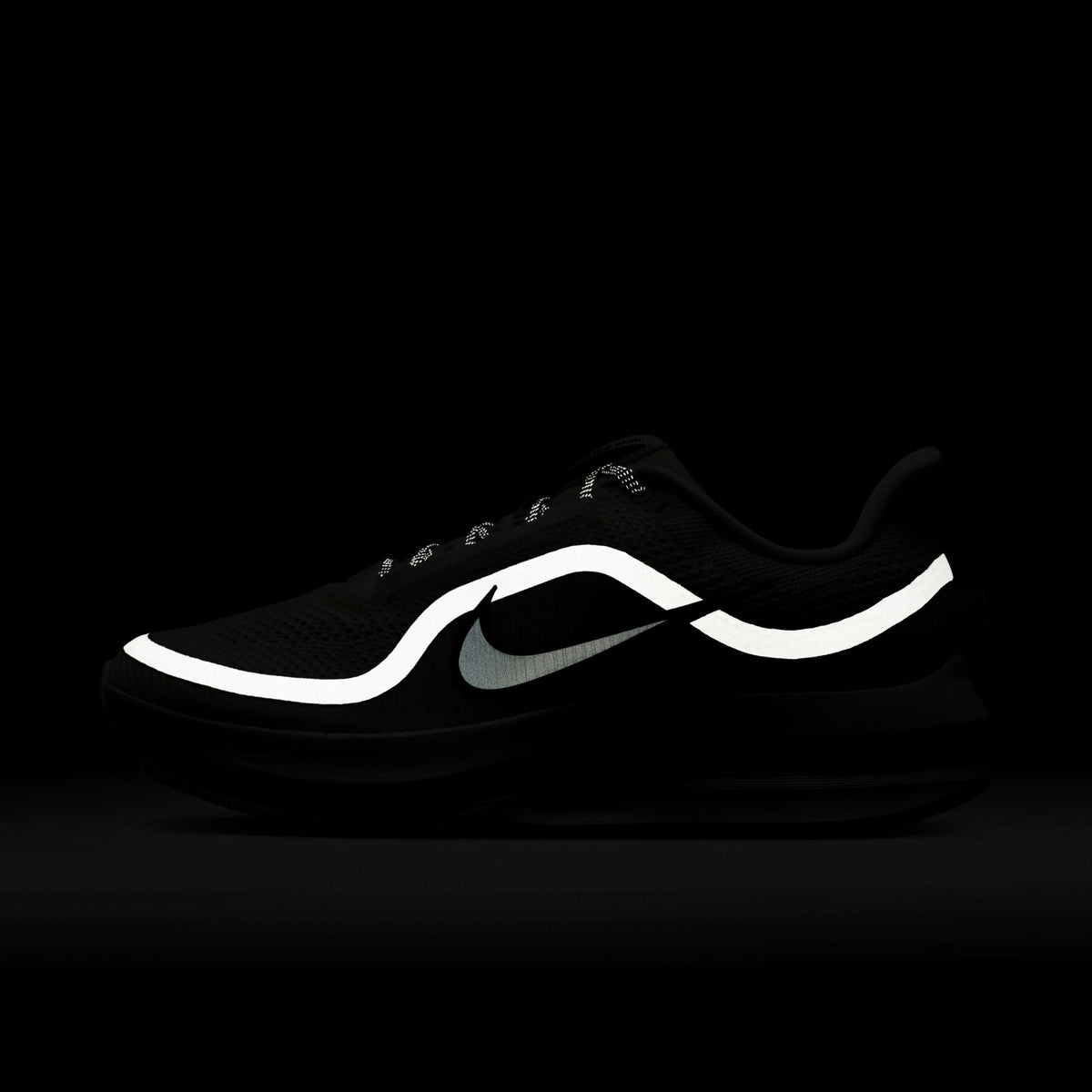 Nike Pegasus Premium HQ2592-106