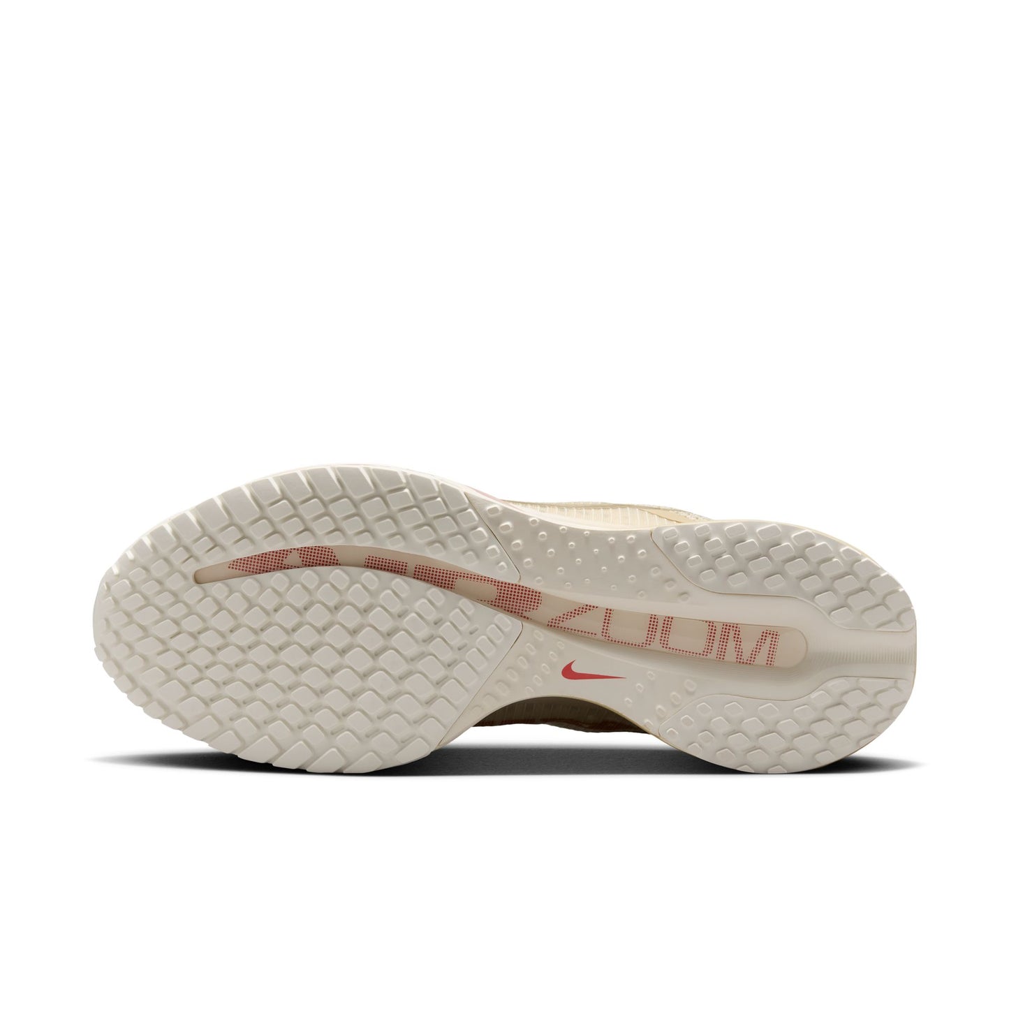 Nike Pegasus Premium HQ2593-200