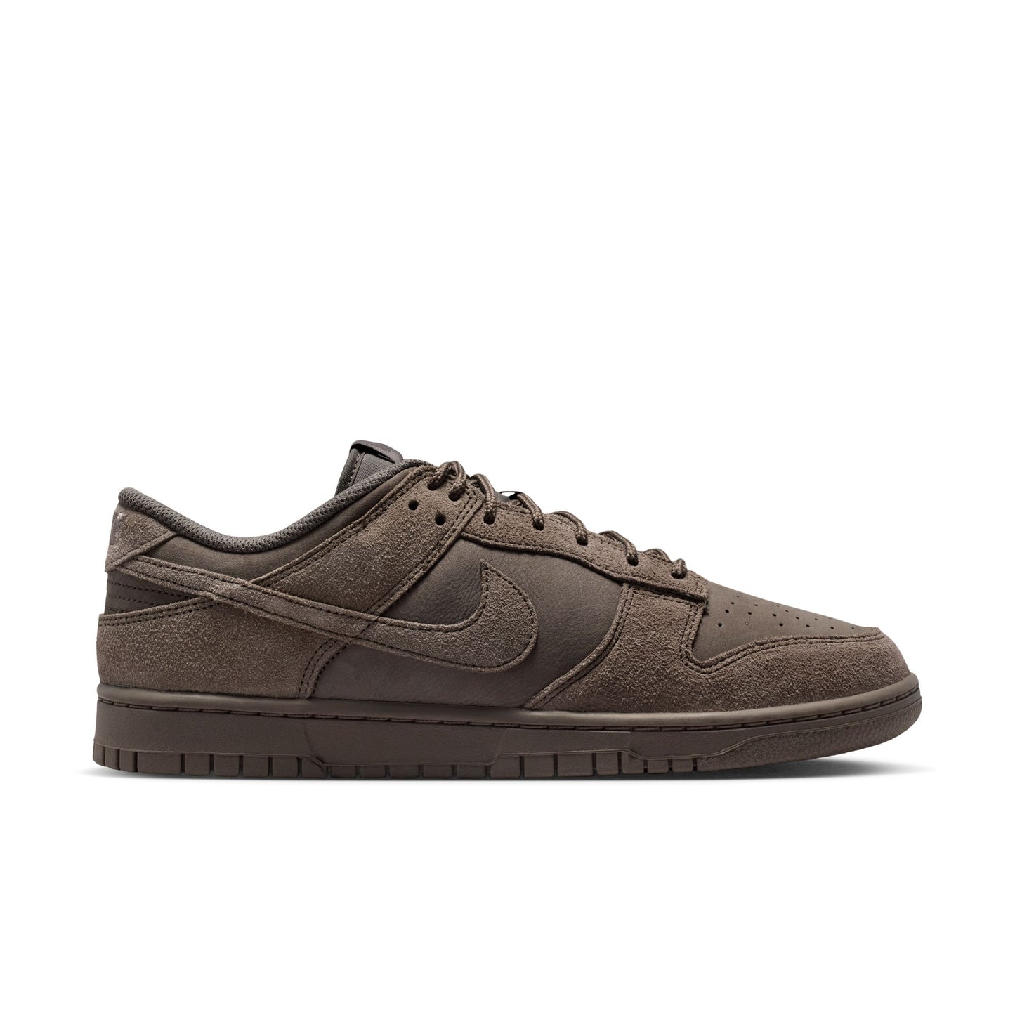 Nike Dunk Low Retro SE IB6651-200
