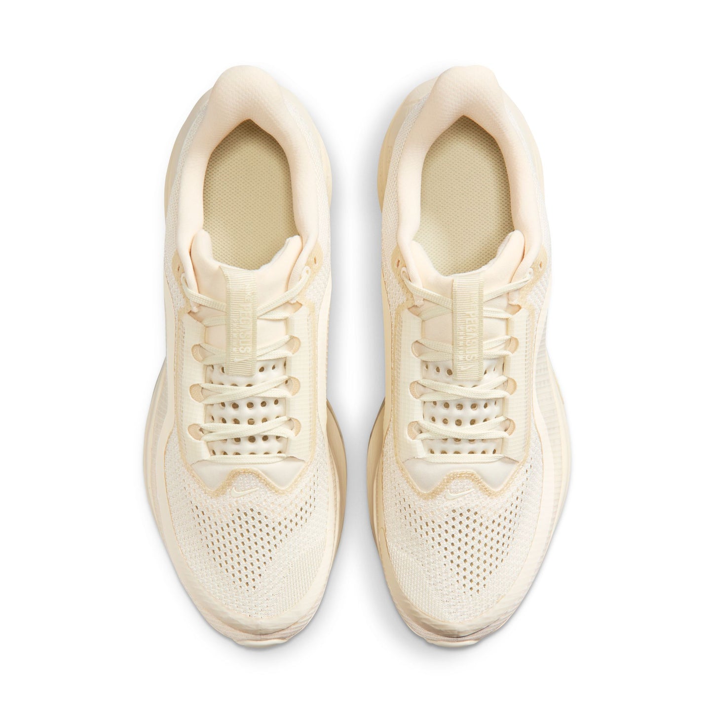 Nike Pegasus Premium IQ5691-100