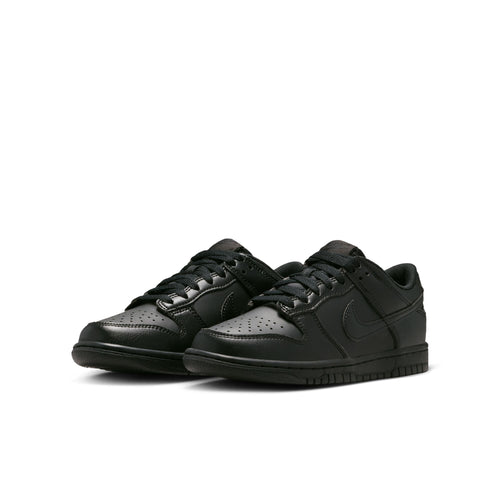 Nike Dunk Low IU7766-009